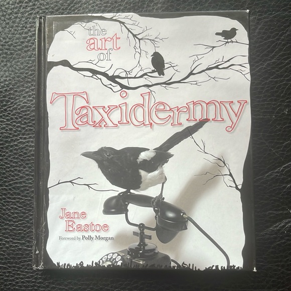 Other - The art of Taxidermy